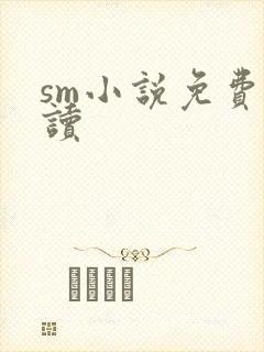 sm小说免费阅读