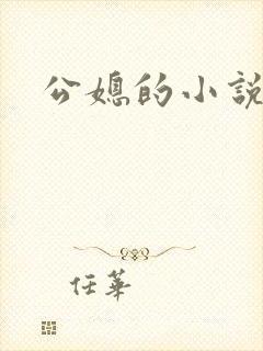 公媳的小说