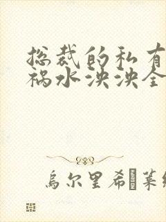 总裁的私有宝贝祸水泱泱全文阅读