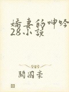 娇妻的呻吟1—28小说