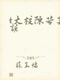 t大校陈若芸小说
