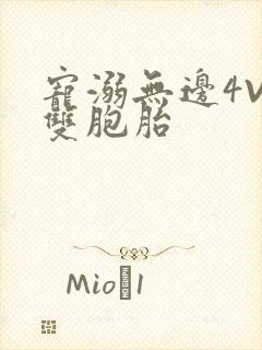 宠溺无边4V2双胞胎