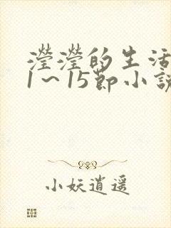 滢滢的生活日记1～15节小说