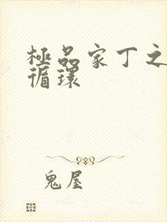 极品家丁之因果循环