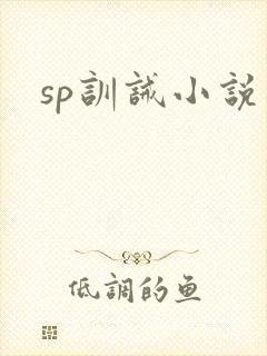 sp训诫小说