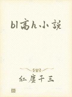 bl高h小说