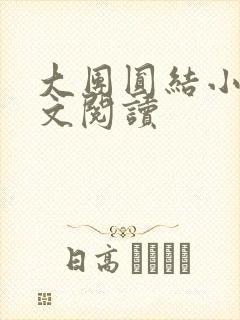 大团圆结小茹全文阅读