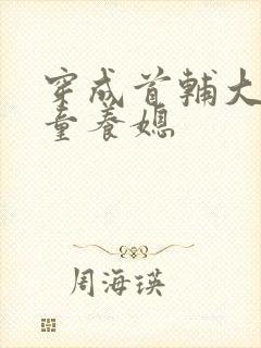 穿成首辅大人的童养媳