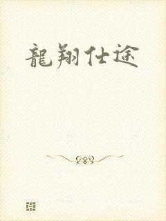 龙翔仕途