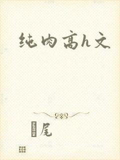 纯肉高h文