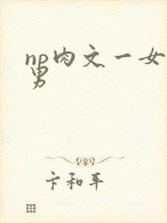 np肉文一女多男