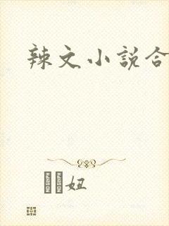 辣文小说合集