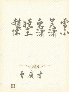 赵晓东吴雪晴郑伟王潇潇小说名字