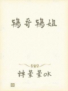 鸨哥鸨姐