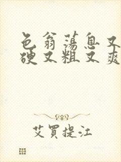 色翁荡息又大又硬又粗又爽