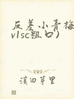 反差小青梅(1v1sc粗口)