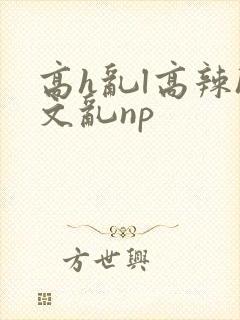 高h乱l高辣h文乱np