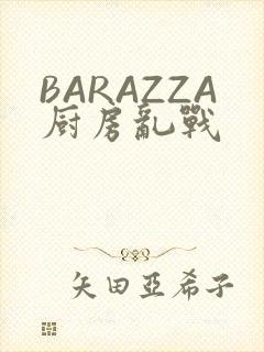 BARAZZA厨房乱战