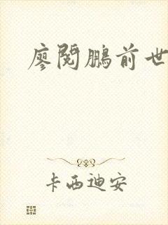 廖阅鹏前世今生