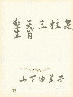 擎天玉柱是什么生肖