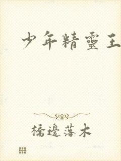 少年精灵王