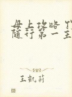 母上攻略 竹影随行第一主板