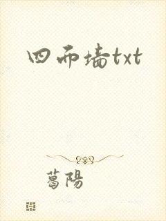 四面墙txt