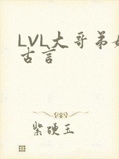 LVL大哥弟媳古言