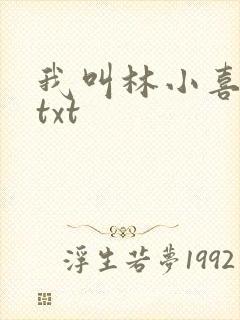 我叫林小喜小说txt