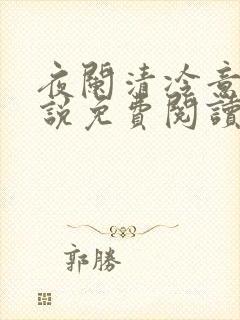 夜阑清冷意欢小说免费阅读
