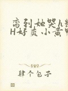 脔到她哭h粗话H好爽小黄鸭视频