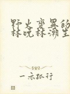 野火变异的父爱林晚林潮生
