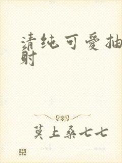 清纯可爱抽插内射