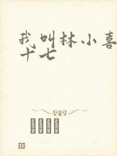 我叫林小喜今年十七