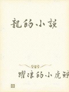 龙的小说
