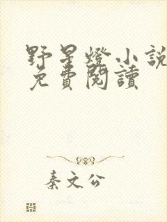 野星灯小说全文免费阅读