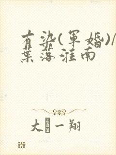 有染(军婚)/叶落淮南