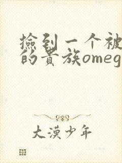 捡到一个被抹布的贵族omega