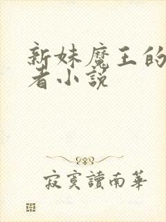 新妹魔王的契约者小说