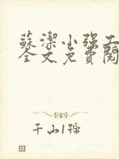 苏洁小强工地情全文免费阅读