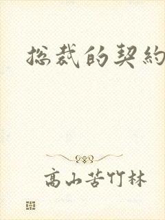 总裁的契约情人