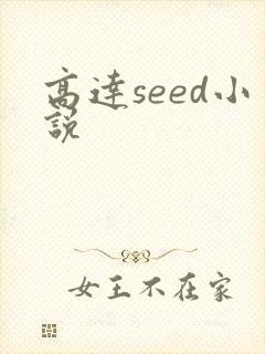 高达seed小说