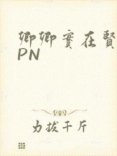 卿卿实在贤良NPN