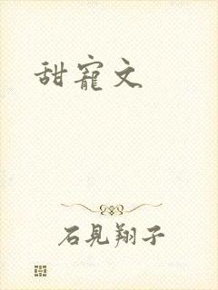 甜宠文
