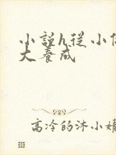 小说h从小做到大养成