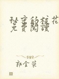 秘密的校花小说免费阅读