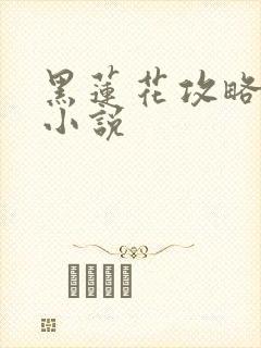 黑莲花攻略手册小说