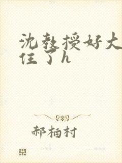 沈教授好大含不住了h