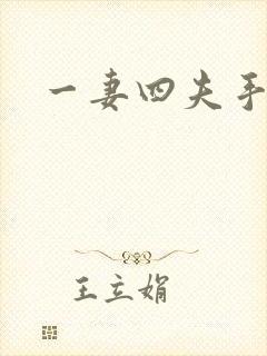 一妻四夫手记