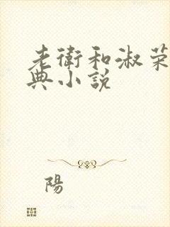 老卫和淑荣的经典小说